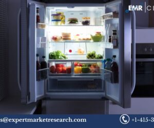 Refrigerator Market: Key Drivers, Growth Trends, and Future Outlook (2025-2034)