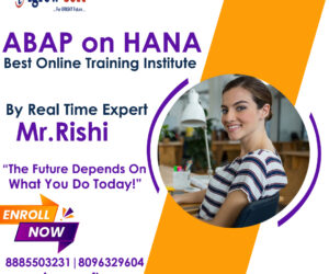 SAP HANA Online Training Institute in Ameerpet Hyderabad | Igrowsoft
