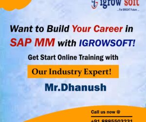 Best SAP MM Training Institute in Ameerpet | Igrowsoft