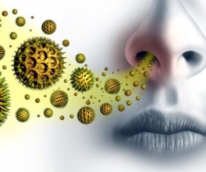 Managing Seasonal Allergies: Tips from a Ventura ENT Specialist