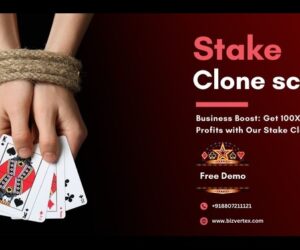 Step-by-Step Guide: Start Your Casino Business with Our Clone Script