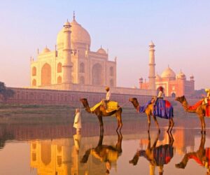 Top 5 Tours from Delhi to Agra for an Unforgettable Experience