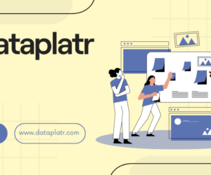 Seamless Looker Integration with Tools & Platforms via APIs by Dataplatr