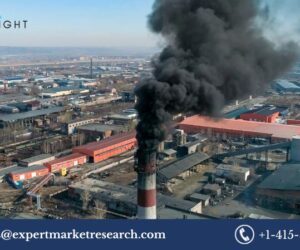 United Kingdom Carbon Dioxide Market: Current Trends and Future Outlook (2025-2034)