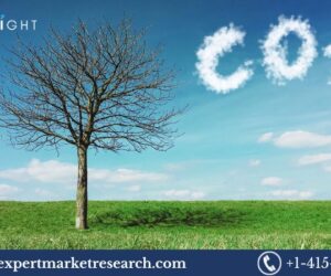United Kingdom Carbon Dioxide Market Share, Trends & Growth 2025-2034