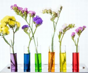 Why Choose a Wooden Round Test Tube Planter for Your Indoor Garden?