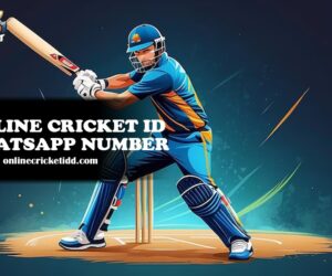 Online Cricket ID WhatsApp Number: Best Betting ID Provider