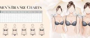 Basic Moves toward Find Your Ideal Bra Size