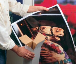 Enhance Your Mounting & Laminating Projects with Premium Pouch Boards