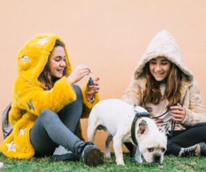 Buy Cheap Frontline Plus for Dogs – Get 12% Extra Discount with Coupon-CPC12ON