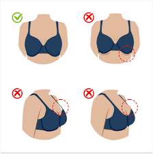 What to Do In the event that Your Bra Size Changes