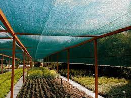 Agricultural Supplies: Premium Shade Solutions and Plant Support Twine