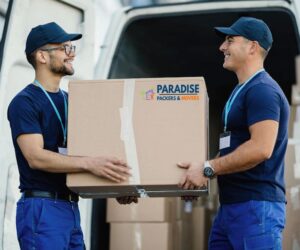 Packers and Movers in Chennai | Paradise Packers