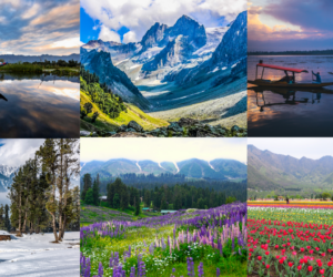 Kashmir Tour Package for Good Holidays