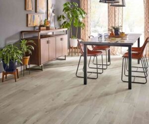 Flooring Solutions in Al Barsha: Elevating Your Space