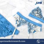 Lingerie Market