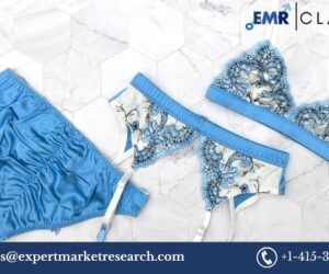 Lingerie Market: Trends, Growth, Opportunities, and Forecast 2025-2034