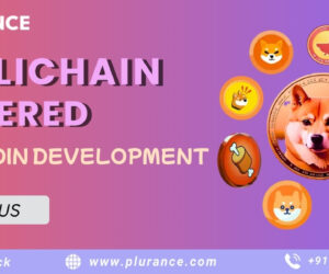 Multichain Power Meme Coin Development – Startup Guide For Beginners