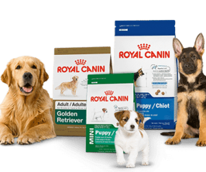 The Ultimate Guide to Buying Pet Food Online: Convenience Meets Nutrition!