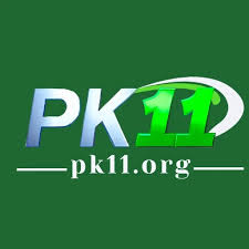 pk11 game