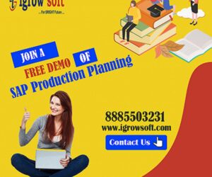 Best SAP PP Training Institute in Ameerpet | Igrowsoft