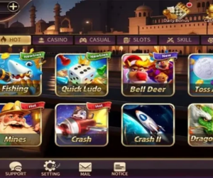 RoyalX Casino: A Comprehensive Overview of Online Gaming and Casino Features