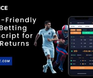 Why sports betting clone script a startup friendly for launching sportsbook