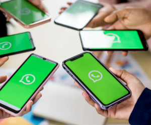 What Makes the Best Whatsapp API Provider for the Banking Sector?