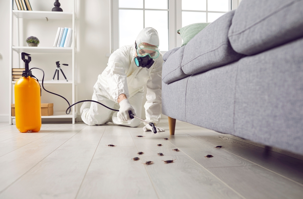 Pest Control Langwarrin