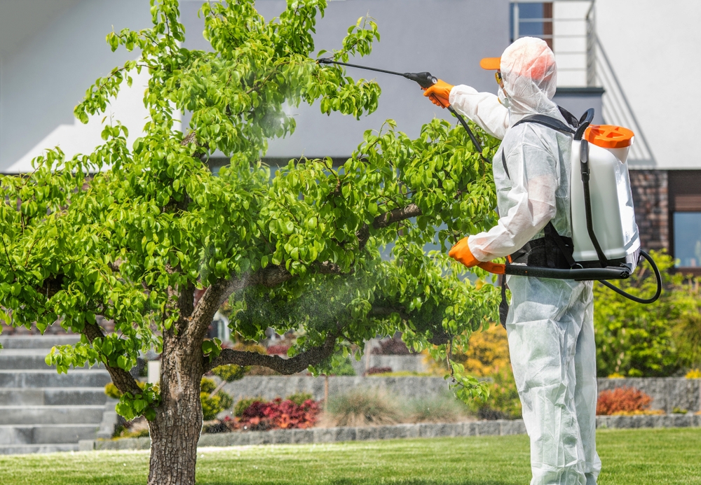 Pest Control Langwarrin