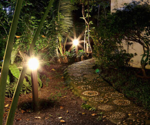 Brighten Your Outdoors with Premium Landscape Lighting in Denver