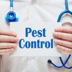 Pest Control