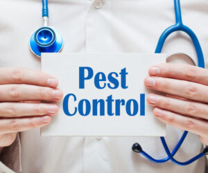 Pest Control: The Essential Guide for New Homeowners