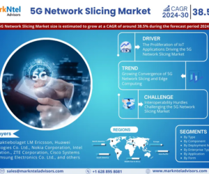 5G Network Slicing Market Comprehensive Analysis and Forecast 2024 to 2030