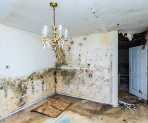 Emergency Water Damage Help in Kansas City