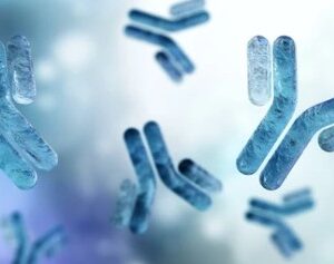 Amerigo Scientific Announces the Rollout of Anti-Human AITRL, Bringing Premium Polyclonal Antibodies to Scientific Community