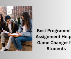 Best Programming Assignment Help: A Game Changer for Students