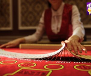 Why You Should Play Teen Patti Master Game for Ultimate Fun