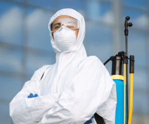 Eco-Friendly Pest Control: How to Protect Your Home Without Harming the Environment