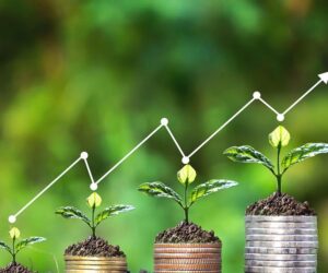 Climate Risk Management: A Critical Approach for a Sustainable Future