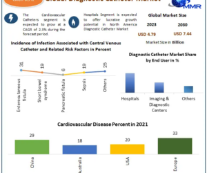 Diagnostic Catheter Market Set for 6.5% CAGR Growth Through 2030