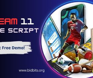 Launch Your Own Fantasy Sports Empire with our Dream 11 Clone Script