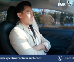 Electric Drives Market Analysis, Share, and Forecast (2025-2034)