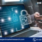 Germany Cyber Security Market