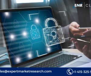 Germany Cyber Security Market Size, Share, Growth & Trends | 2034
