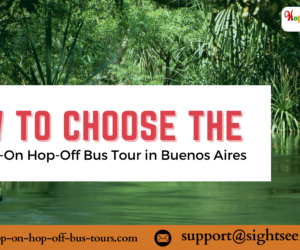How to Choose the Best Hop-On Hop-Off Bus Tour in Buenos Aires
