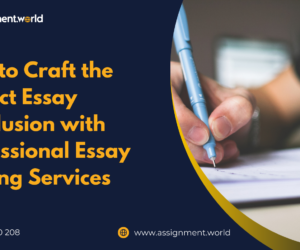 How to Craft the Perfect Essay Conclusion with Professional Essay Writing Services