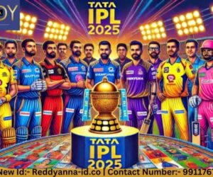 Mastering the Online Cricket ID Reddy Anna Platform: Tips and Tricks for Online Cricket ID this IPL Season 2025.