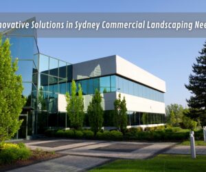 Innovative Solutions in Sydney Commercial Landscaping Needs