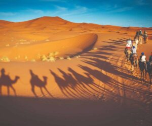 Top Reasons Why a Morning Desert Safari is the Best Dubai Adventure